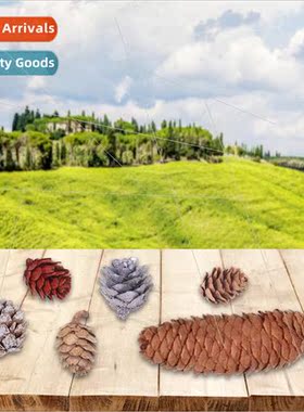 2023 Pinecone Christmas arrangement decoration supplies phot