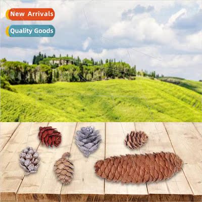 2023 Pinecone Christmas arrangement decoration supplies phot