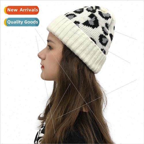2020 fall and winter new leopard knit cap rolled edge windpr