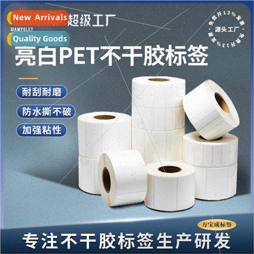 Glossy white bright white pet label paper high temperature s