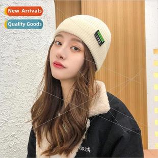 female system cap Japanese knitted patch Hat wool Korean