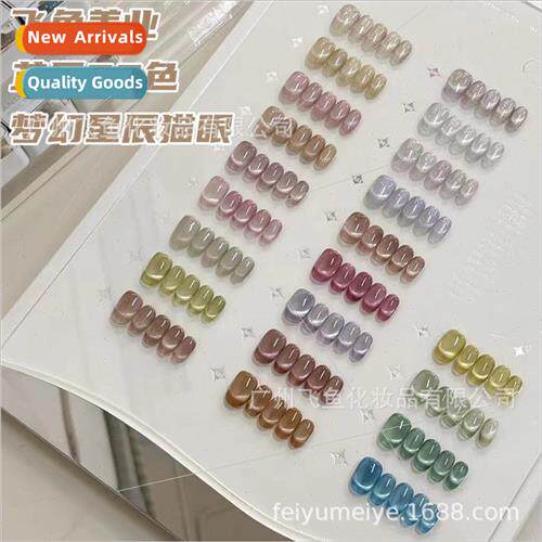 Zhi  canned 22 colors dream star cat eye nail polish nail ic