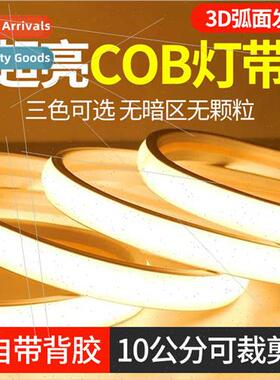 Super bright led strip light outdoor waterproof high voltage