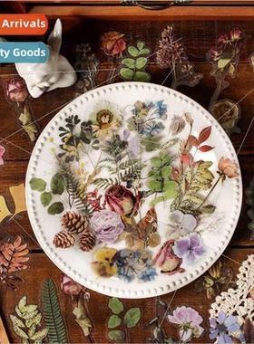 Mountain Wild Gathering Series PET Sticker Pack Vintage Bota