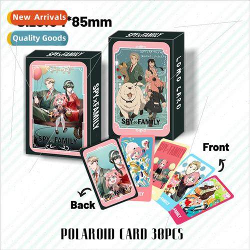 Spy Play House 30 Double ded Polaroid Cards LOMO Cards Colle