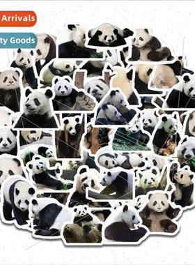 Cute Panda 50 Cultural Helmet Stickers Journal ggage Sticker