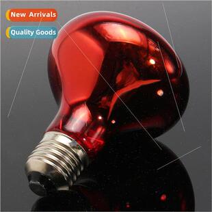 Pet heating lamp day and night amphibious bird snake heating