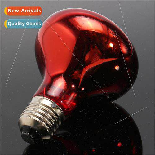 Pet heating lamp day and night amphibious bird snake heating
