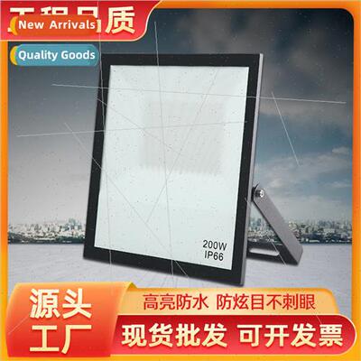 led flood light outdoor 100W lighting garden advertising spo