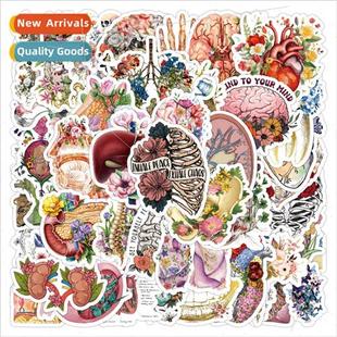 human body stickers pcs personalize organs and flowers