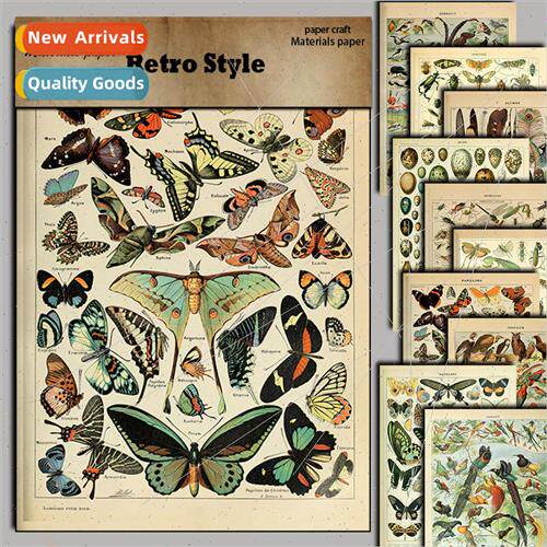 10 pcs of Insect Illustration Material Paper Handbook Sticke