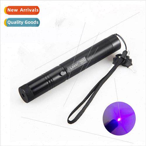 301 blue violet light high power laser flashlight single poi