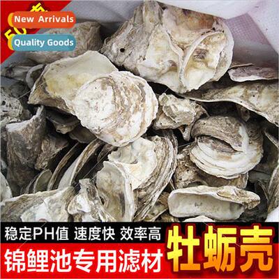 Oyster shellsOyster shellsLarge fish pondsFish tanksNatural
