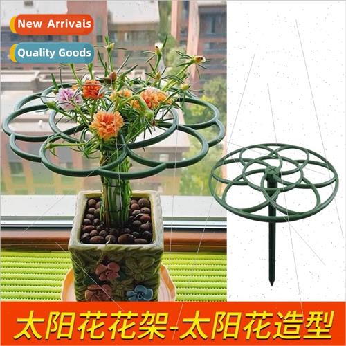 Gerbera lollipop modeling support crape myrtle grafting spec