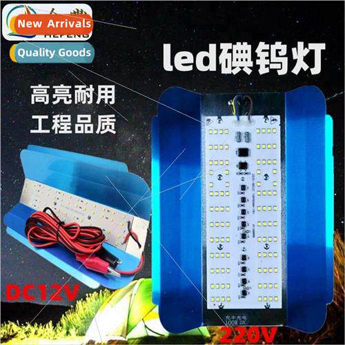 220V Sun Lamp Outdoor ghting Wide Voltage 85-265V Engineerin