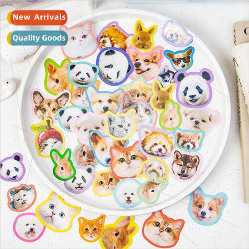 Day Copperplate Stickers Animal Breeder Series Cute Dopamine