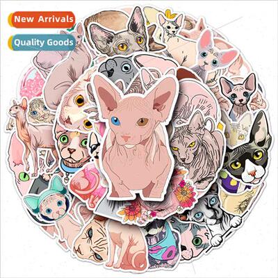 50 Sphinx hairless cat cute cat cat cartoon animal stickers