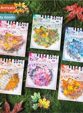 Beautiful Day PET Shell ght Stickers Maple Concerto Series C