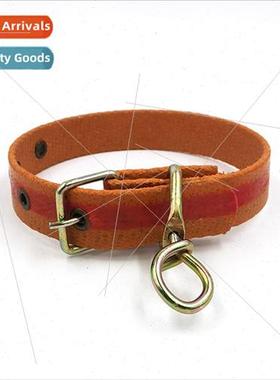 Pet Dog Dog Collar Dog Collar Medium Large Dog Pet Dog Outdo