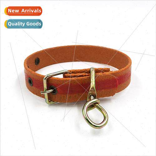 Pet Dog Dog Collar Dog Collar Medium Large Dog Pet Dog Outdo