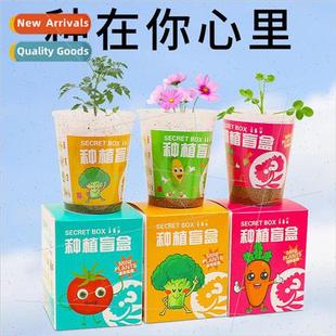 Childrens plants small pot planting blind box kindergarten o