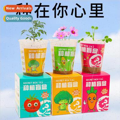 Childrens plants small pot planting blind box kindergarten o