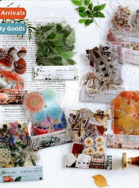 PET Sticker Pack Jennys Comic Time Series Plant Creative Han