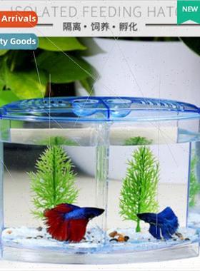 Fighting Fish Isolation Box Acrylic  Breeding Multifunctiona