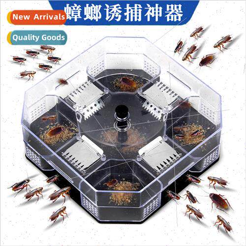 Cockroach house trap home trapping -toxic indoor kitchen kil