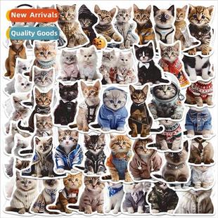 kittens suitc stickers cute cartoon and cats various