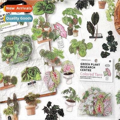PET sticker pack Green Plant Institute series Green leafy pl