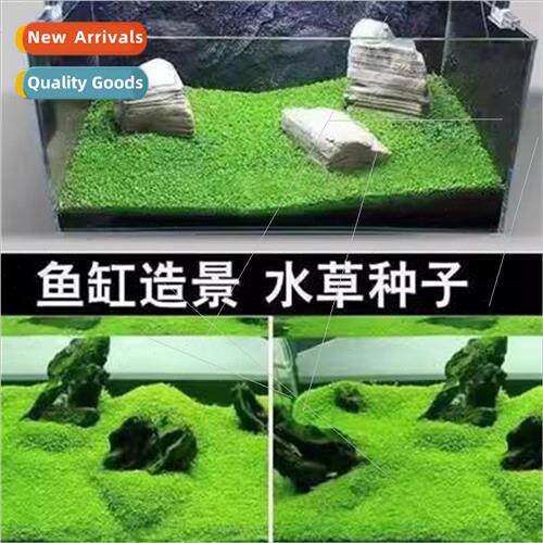 Aquatic grass seed aquarium aquascape package oxygenation sm