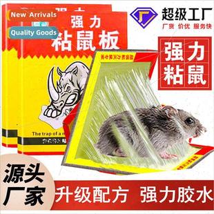 board powerful catch stick Mouse rat sticky
