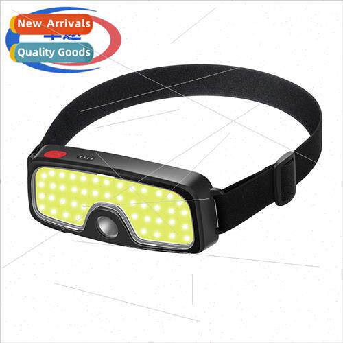 Fishing headlamp USB rechargeable dual light source COB head