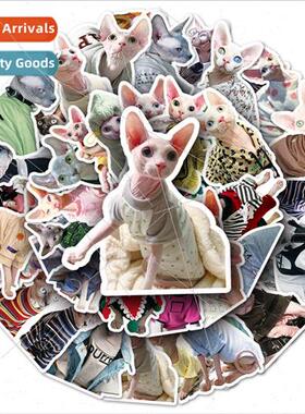 50 Sphinx hairless cat cell phone case stickers ins cute cat