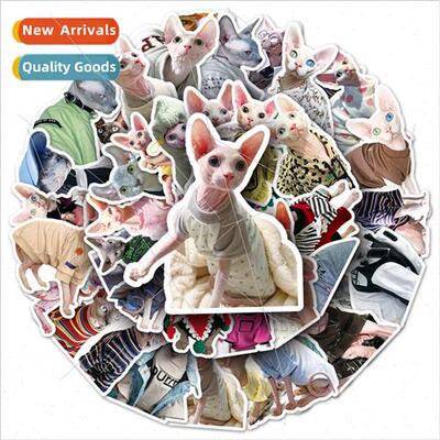50 Sphinx hairless cat cell phone case stickers ins cute cat