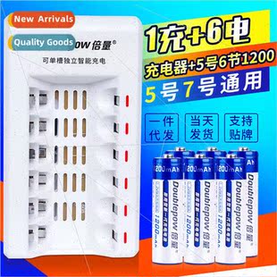 Smart Charger Rechargeable 6pcs Set with AA1200mAh Battery