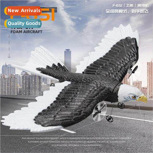 New FX651 Eagle airplane fixed-wing remote control foam plan