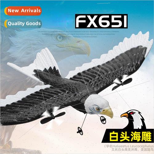 FX651 RC Eagle Airplane Fixed Wing Foam Eagle Airplane Fight