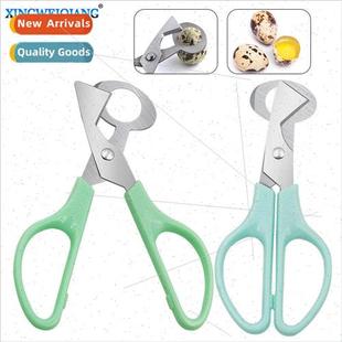 Shell Quail Cutting Divider Open Opening Egg