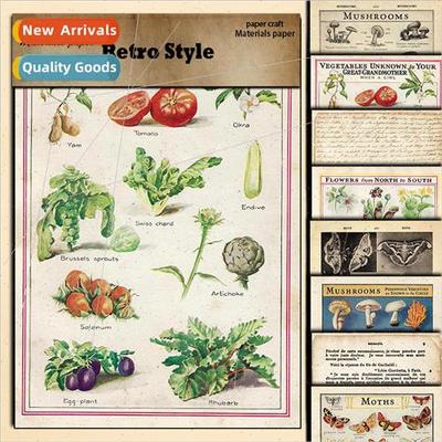Vintage plant synthesis illustration 14x20cm8 pcs of materia
