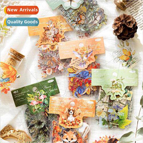 PET sticker packs leaf leaf collage story series retro plant
