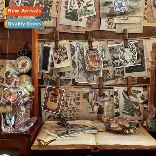 Material packages Yamano Chisato series of retro literary En