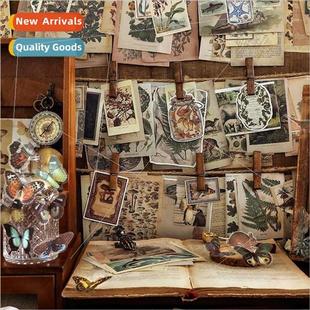 packages retro series Chisato literary Material Yamano