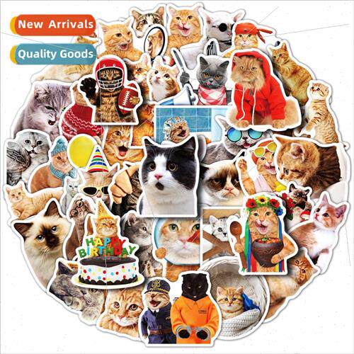 50 realistic cat stickers wall stickers cute cat realistic d