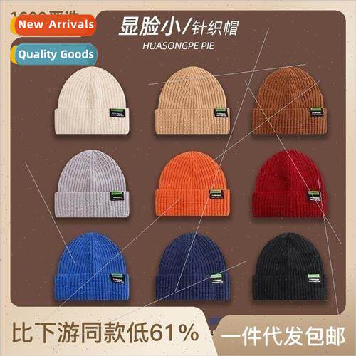 Hat female fall and winter new Korean fashion wild wool cap
