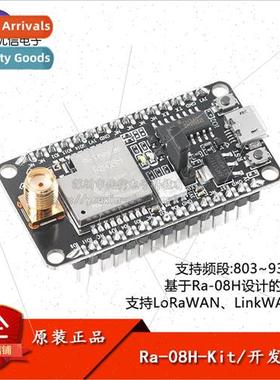 Ra-08H-Kit LoRaWAN RF Module Development Board w/ -contained