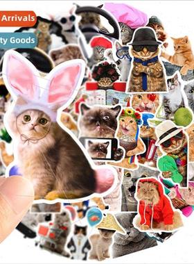 2022 new 66 cute cat nerdy funny stickers large size handboo