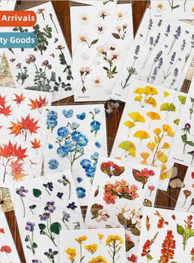 Korean stationery creative simulation flowers transparent PV