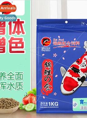 Dolphin koi feed breeding with nutritional spirulina growth